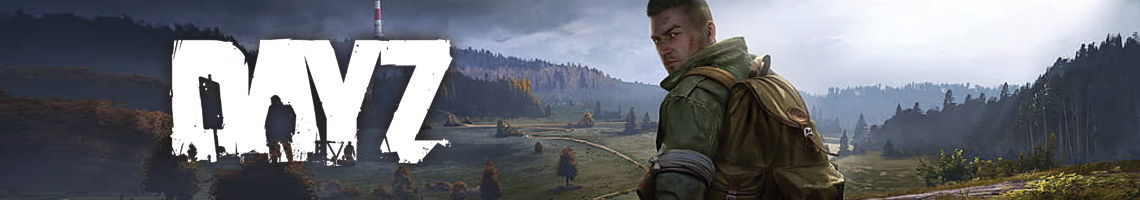 Overleven in een Vijandige Wereld: DayZ