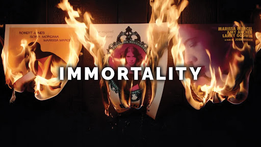 Koop Immortality PC