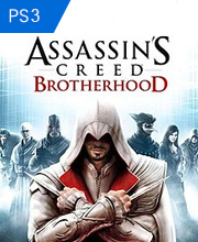 Assassins Creed Brotherhood