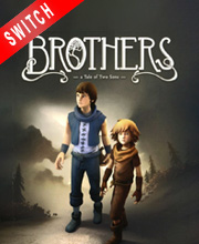 Brothers a Tale of Two Sons