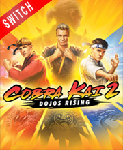 Cobra Kai 2 Dojos Rising