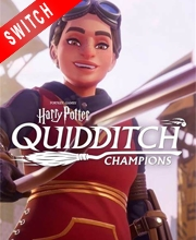 Harry Potter Quidditch Champions