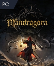 Mandragora