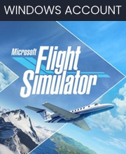 Microsoft Flight Simulator