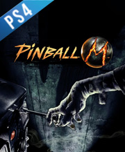 Pinball M