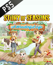 Story of Seasons A Wonderful Life