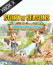 Story of Seasons A Wonderful Life