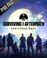 Surviving the Aftermath Shattered Hope