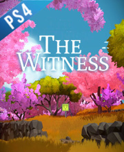 The Witness