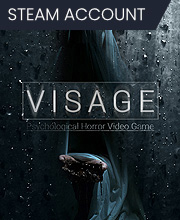 Visage