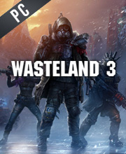 Wasteland 3