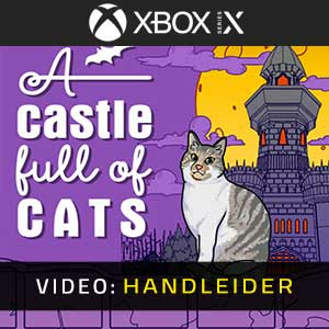 A Castle Full of Cats