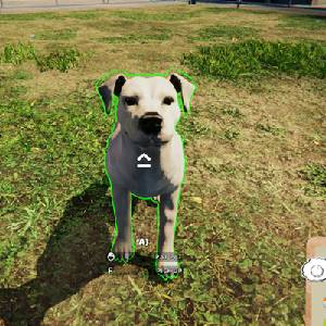 Animal Shelter Simulator - Hond