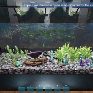 Aquarist - Winkel