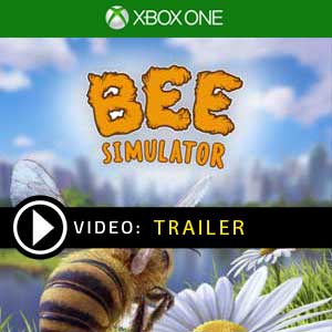 Koop Bee Simulator Xbox One Goedkoop Vergelijk de Prijzen