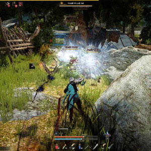 Black Desert Online Bossen