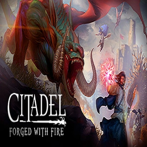 Citadel Forged with Fire