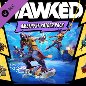 HAWKED Amethyst Raider Pack