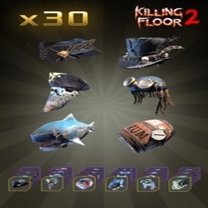 Killing Floor 2 Space Pirate Full Gear Bundle