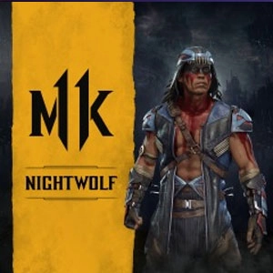 Mortal Kombat 11 Nightwolf