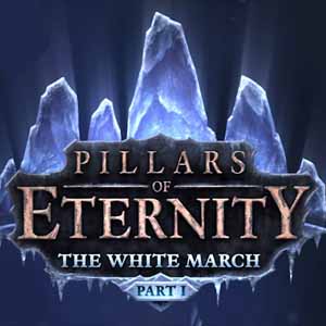 Koop Pillars of Eternity The White March Part 1 CD Key Compare Prices