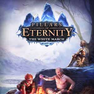 Koop Pillars of Eternity The White March Part Two CD Key Compare Prices