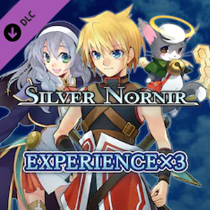 Silver Nornir Experience x3
