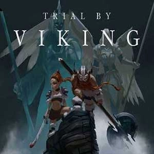 Trial by Viking