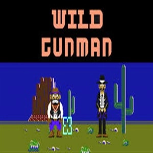 Wild Gunman