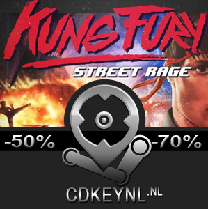 kung fury street rage steam key