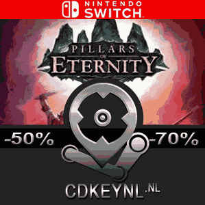 Pillars of best sale eternity nintendo switch