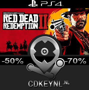 Red dead redemption 2 discount store code ps4