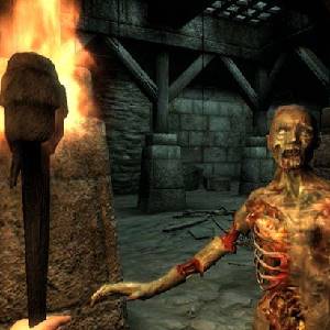 Elder Scrolls 4 Oblivion - Gevreesde Zombie