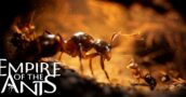 Empire Of The Ants: Alle edities in één oogopslag – Beste prijzen in vergelijking