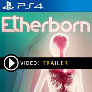 Koop Etherborn PS4 Goedkoop Vergelijk de Prijzen