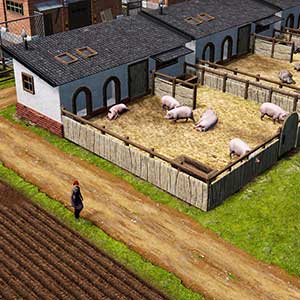 Farm Manager 2021 - Varkenshouderij