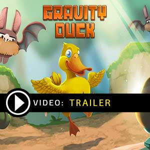 Koop Gravity Duck CD Key Goedkoop Vergelijk de Prijzen