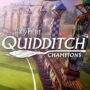 Pre-order Harry Potter: Quidditch Champions voor de Firebolt Supreme Broom Skin