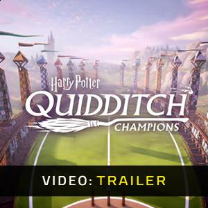 Harry Potter Quidditch Champions