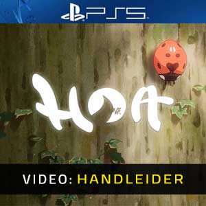 Hoa PS5 Video-opname