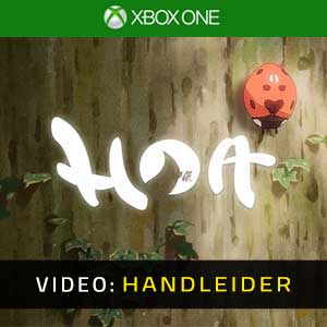 Hoa Xbox One Video-opname