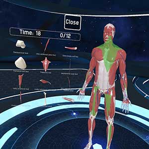 Human Anatomy VR