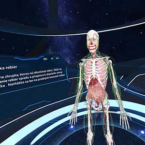 Human Anatomy VR