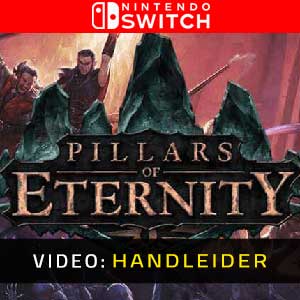 Pillars of Eternity Nintendo Switch Video-opname