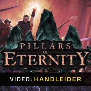 Pillars of Eternity Video-opname