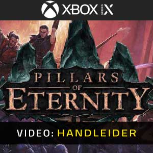 Pillars of Eternity Xbox Series X Video-opname