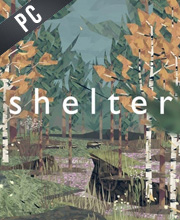 Shelter