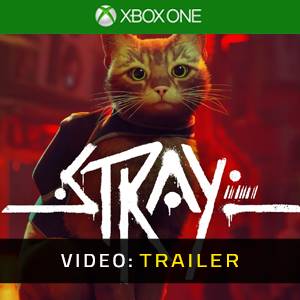 Stray Xbox One Video-opname