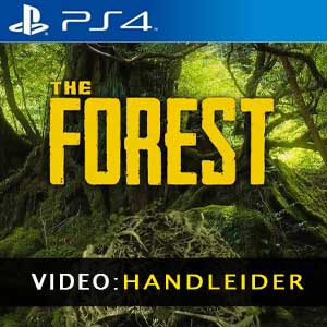 The Forest PS4 Video-opname