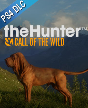 theHunter Call of the Wild Bloodhound